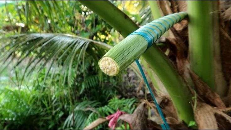 Oleh-oleh autentik Pangandaran